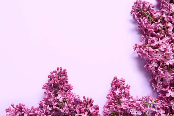 Beautiful blooming lilac flowers on purple background - Фото, зображення