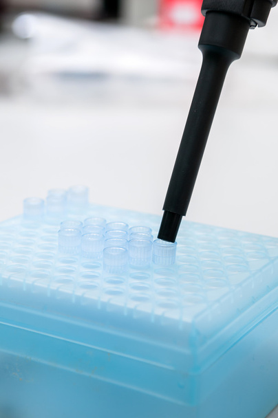 Pipette with more blue tip - Photo, Image