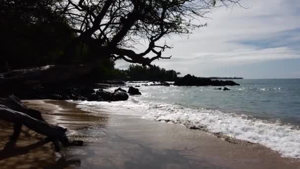 plaża 69, Waialea, Big Island, Hawaje. Wysokiej jakości materiał 4k - Materiał filmowy, wideo