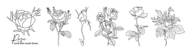 Rose Junio Nacimiento mes línea de flores arte vector ilustraciones conjunto aislado sobre fondo blanco. Diseño minimalista moderno para logotipo, tatuaje, arte de la pared, póster, embalaje, pegatinas. Bosquejo de tinta negra. - Vector, imagen