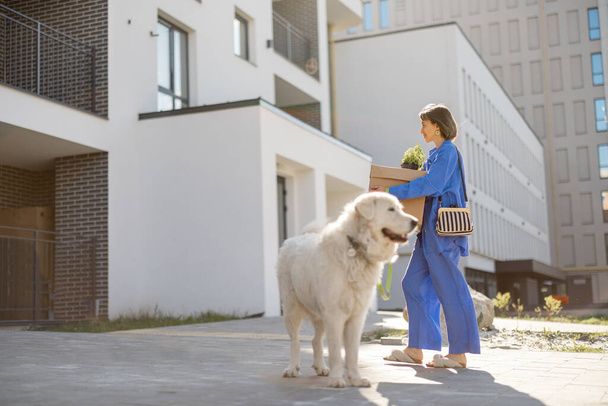Woman carrying cardboard boxes, walking with her dog to apartment at new building. Concept of relocating, new estate or delivery - Photo, Image