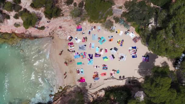 Dritto giù drone filmato aereo di una spiaggia conosciuta come Cala Gracioneta nella città di Sant Antoni de Portmany sull'isola di Ibiza nelle Isole Baleari Spagna nel periodo estivo. - Filmati, video