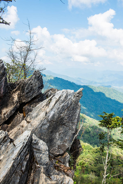 View Point at Doi Pha Tang in Chiangrai Province, Thailand. - Fotoğraf, Görsel