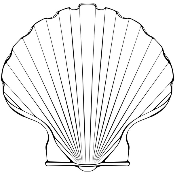 Scallop schelp. Zwarte vector hand getekend illustratie geïsoleerd op wit. Element voor design viswinkel of menu, decor, label. Eenvoudig plat pictogram symbool oceaan schelp - Vector, afbeelding