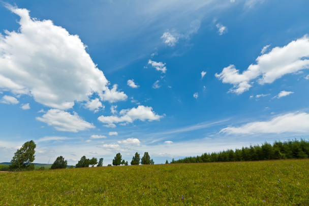 grassland landscape - Photo, image
