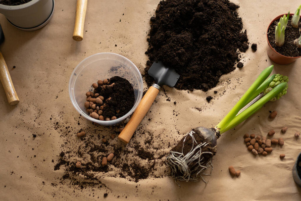 Soil and drainage, garden tools and a pot for transplanting hyacinth plants at home. Spring Houseplant Care, repotting houseplants concept. - Fotografie, Obrázek