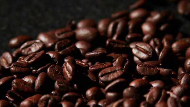 Kahvipavut lähikuva - Materiaali, video