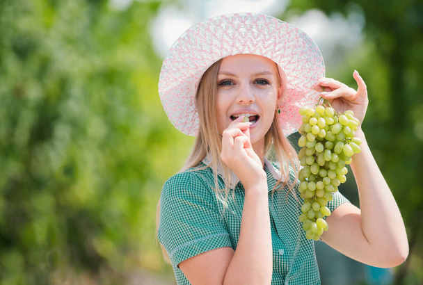 Sexy grape. A pretty sexy young woman holding a bunch of grape on her face. Young woman licking grapes of green grapes. Autumn vineyards. Wine and grapes. Girl between rows of vines - Fotoğraf, Görsel