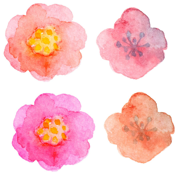 Watercolor floral elements for design - Вектор, зображення