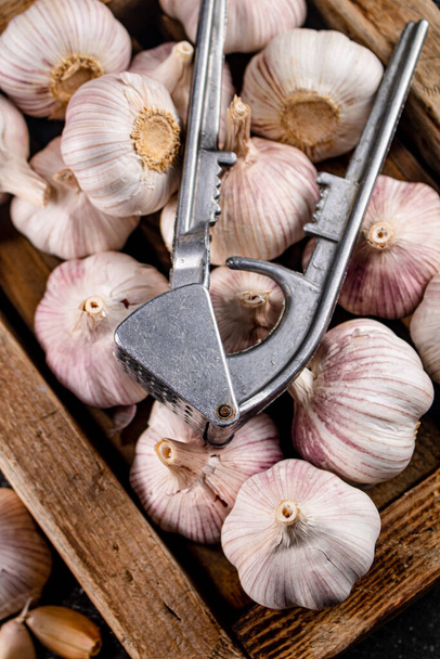 Heads of fresh garlic. Macro background. High quality photo - Zdjęcie, obraz