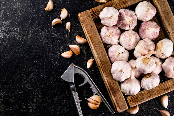 Garlic on a wooden tray with a garlic press. On a black background. High quality photo - Fotoğraf, Görsel