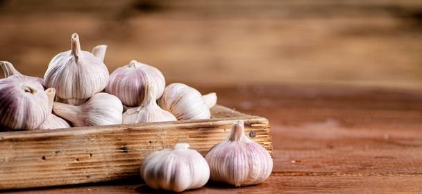 Fragrant garlic on a wooden tray. On a wooden background. High quality photo - Φωτογραφία, εικόνα