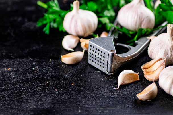 Garlic with parsley and garlic press. On a black background. High quality photo - Photo, Image