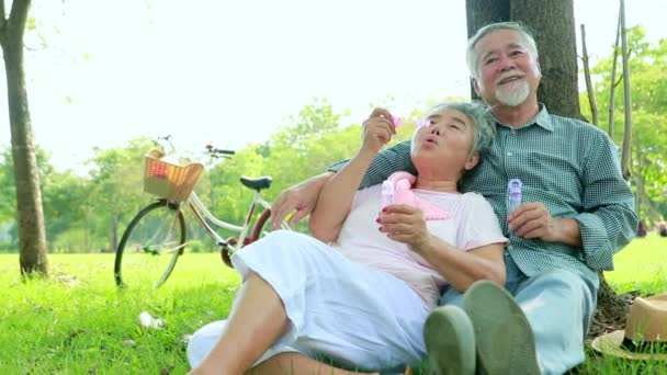 Πορτρέτο ασιατικό ηλικιωμένο ζευγάρι χαλαρώνοντας στον κήπο ξοδεύοντας ευτυχισμένο Σαββατοκύριακο παίζοντας φυσαλίδες φυσώντας σαν παιδί: SoulMate ευτυχία αστείο στον κήπο του συζύγου και της συζύγου. - Πλάνα, βίντεο