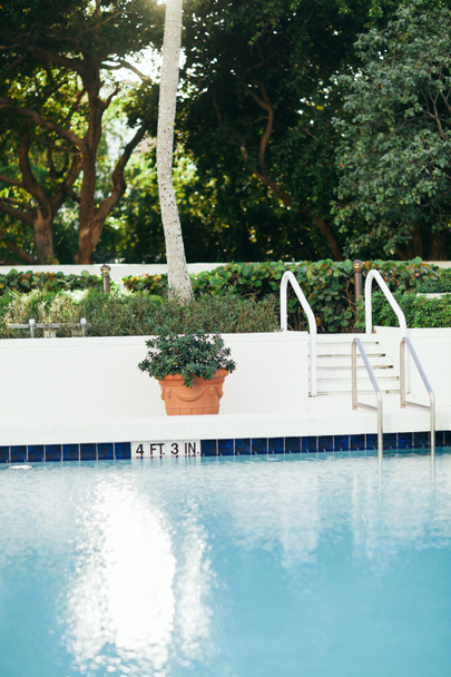 роскошный гостиничный курорт, открытый бассейн с ярко-голубой водой и металлическая лестница для бассейна с поручнями из нержавеющей стали рядом с растением в горшке, размытый фон, отдых и праздничная концепция  - Фото, изображение