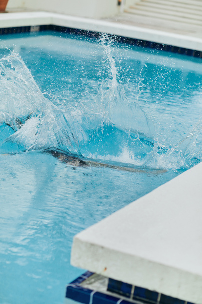 roiskeet julkisessa uima-altaassa ulkona, varjo henkilö sukeltaa siniseen veteen luksuslomakeskuksessa Miamissa, vapaus, leikkisä, huoleton, loma vibes, vapaa-ajan toimintaa  - Valokuva, kuva