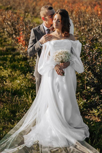 Happy wedding couple in countryside. Amazing smiling wedding couple. Pretty bride and stylish groom. Kisses her. . She is happy and enchanted. - Foto, afbeelding