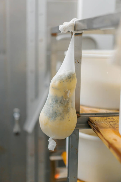 Cabeças de queijo em prateleiras de madeira em armazém de maturação de queijo Conceito de produção deliciosos queijos - Foto, Imagem