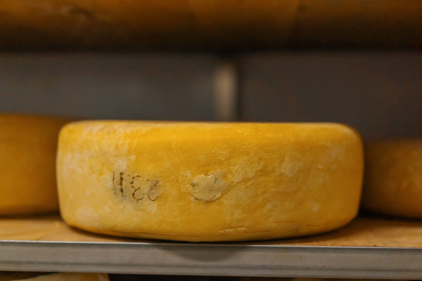 Têtes de fromage sur étagères en bois dans l'entrepôt de maturation du fromage Concept de production délicieux fromages - Photo, image