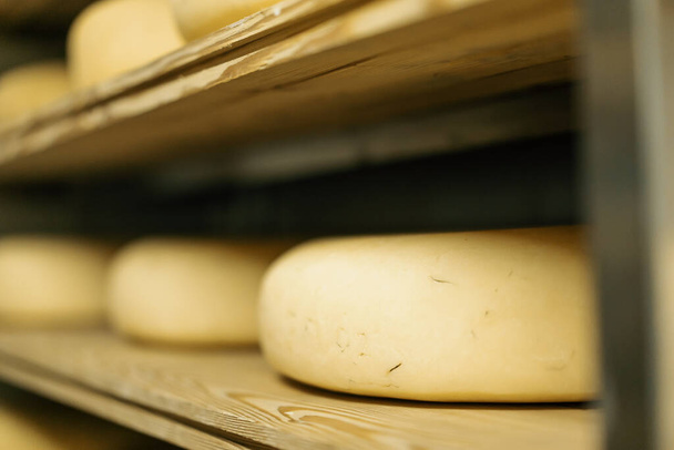 Käseköpfe in Holzregalen im Käsereifungslager Konzept der Produktion köstlicher Käse - Foto, Bild
