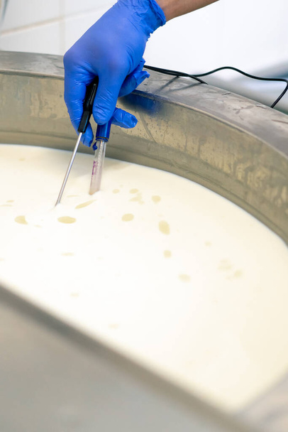 Un empleado mide la temperatura de la leche que se pasteuriza en una cuba en una fábrica de queso utilizando un dispositivo profesional - Foto, imagen