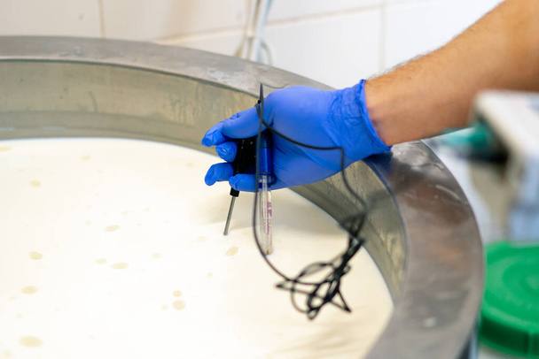 Työntekijä mittaa juustotehtaan sammiossa pastöroitavan maidon lämpötilaa ammattimaisella laitteella. - Valokuva, kuva