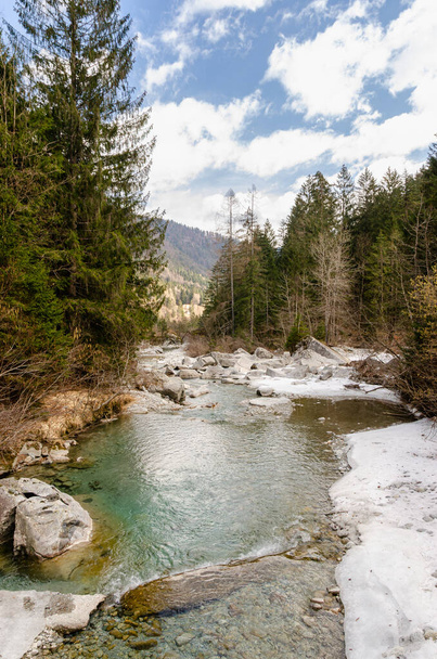 Silné koryto řeky s tekoucí vodou uprostřed lesa v italských Alpách. Jarní fotografie se zbytky sněhu. - Fotografie, Obrázek