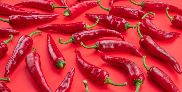 Lot of fresh red chilli peppers isolated on red background. - Photo, Image