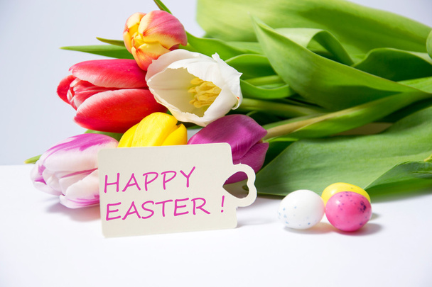 easter - Photo, image