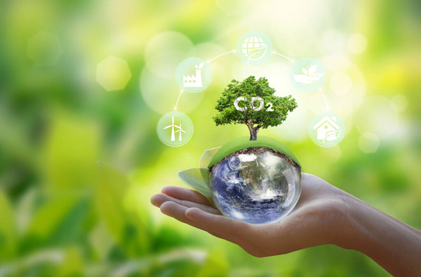 Renewable energy-based green businesses can limit climate change and global warming. Clean and environmentally friendly environment without carbon dioxide emissions.Reduce CO2 emission concept. - Фото, зображення