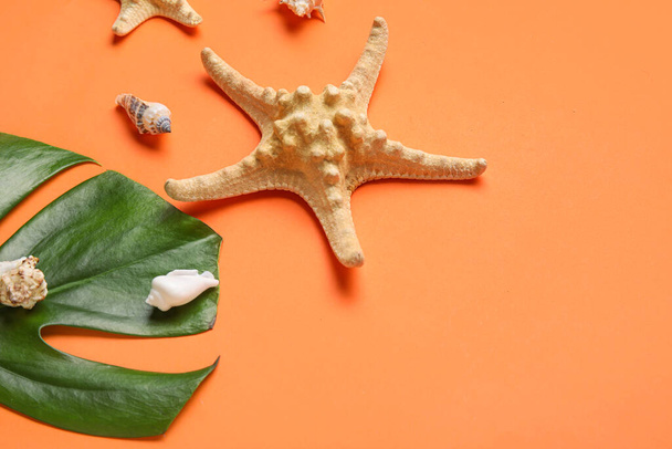 Композиція з пальмовим листом, морською зіркою та черепашками на кольоровому фоні
 - Фото, зображення