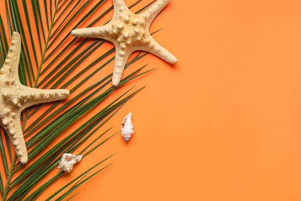 Composition with palm leaf, starfishes and seashells on color background - Photo, Image