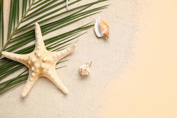 Composición con hoja de palma, conchas marinas y arena sobre fondo de color, primer plano - Foto, Imagen