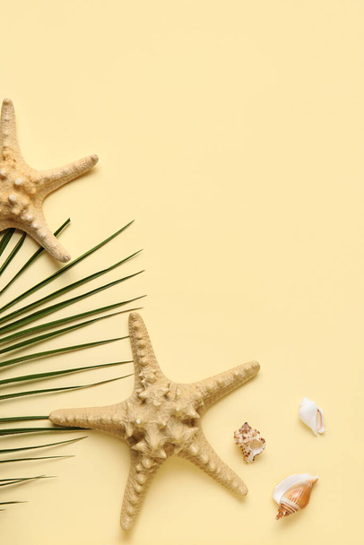 Composición con estrellas de mar, conchas marinas y hojas de palma sobre fondo de color - Foto, Imagen