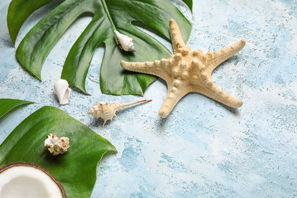 ヤシの葉、ヒトデ、貝殻の色を背景にした構図 - 写真・画像