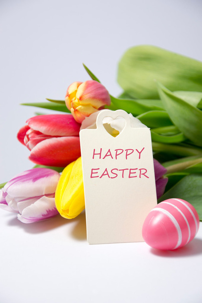 easter - Photo, image