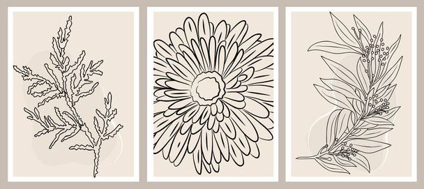 Botanical wall art set. Line art drawing with aster, eucalyptus. Abstract Plant Japandi Art design for print, cover, wallpaper, Minimal and natural wall art. Beige and black vector illustration. - Vector, Image