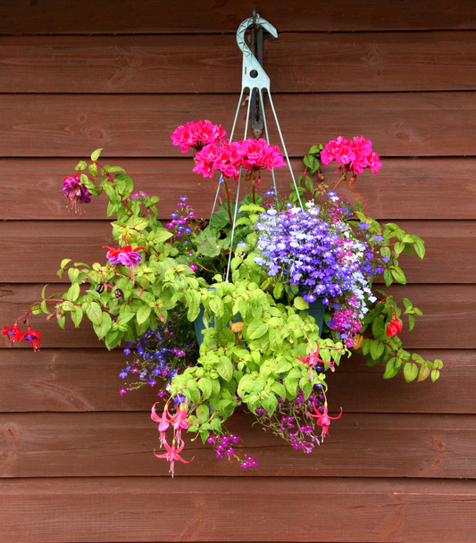 Висячий кошик з квітами з дерев'яним фоном
 - Фото, зображення