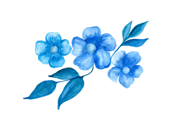 beyaz zemin üzerine suluboya mavi çiçekler - Fotoğraf, Görsel