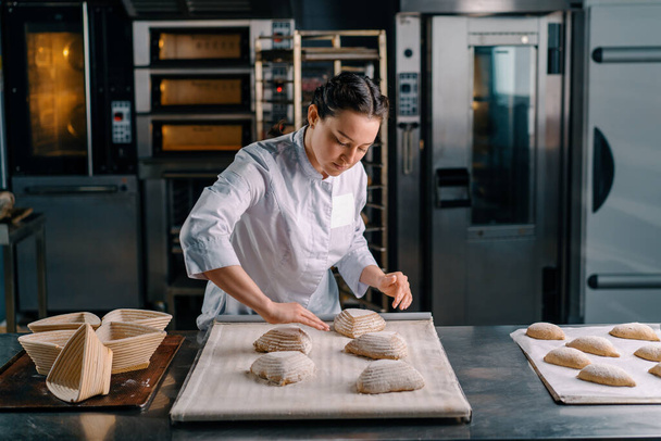 concentrated beautiful woman baker forms raw bread buns before baking bakery production pastries - Photo, Image