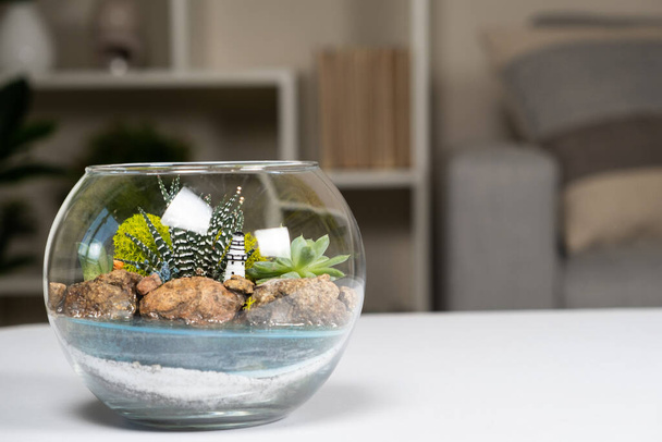 Флораріум скляна кругла ваза з сукулентами на столі в кімнаті
 - Фото, зображення