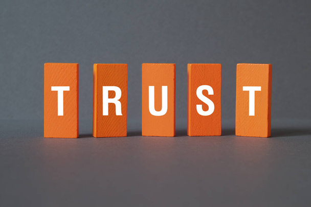 Trust - word concept on building blocks, text, letters - Photo, Image