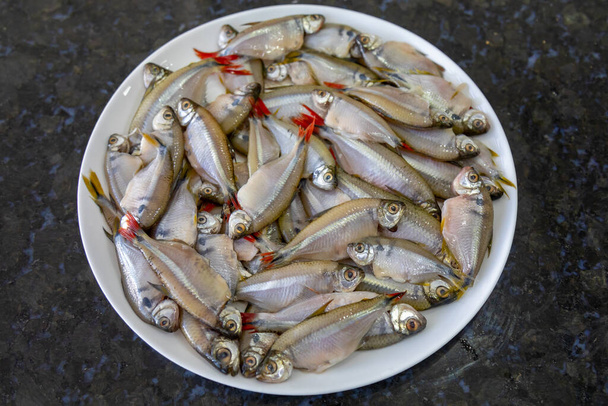 Lambari do Rabo Vermelho frito (Astyanax bimaculatus) típico peixe de água doce brasileiro - Foto, Imagem