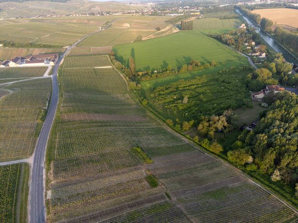 Вид с воздуха на зеленые виноградники и поля шампанского премьер-министра Крю вблизи деревень Овиллерс и Кюмьер и реки Марн, Шампанж, Франция - Фото, изображение