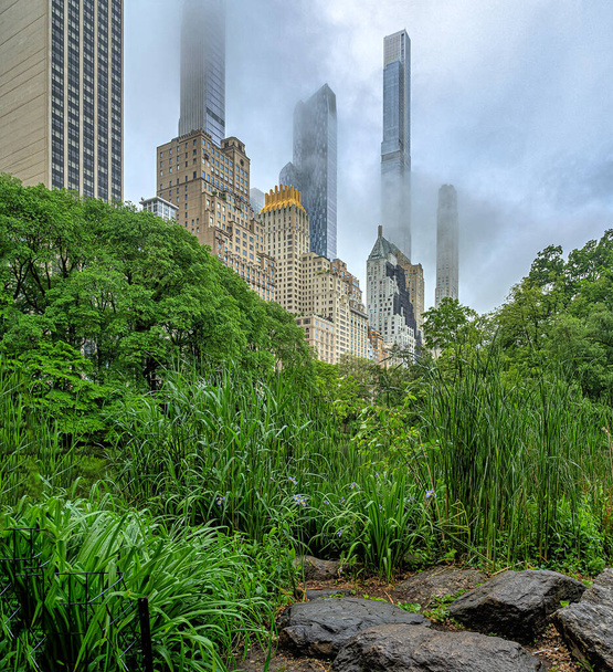 U jezera v Central Parku, New York City, Manhattan - Fotografie, Obrázek