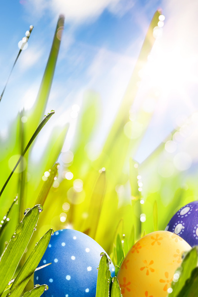 art Colorful Easter eggs decorated  in the grass on blue sky bac - Photo, Image