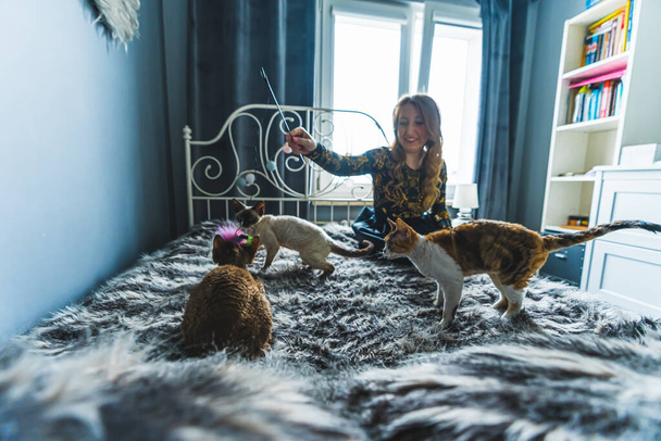cheerful Caucasian woman playing with Devon rex cats while sitting on the bed. High quality photo - Фото, зображення