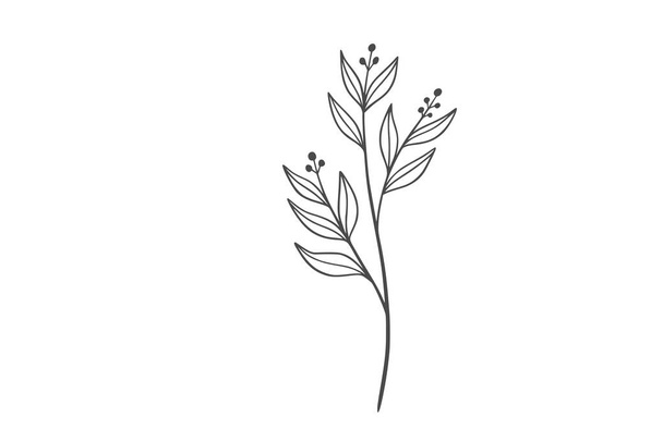 Wildplant line art illustration - Вектор,изображение