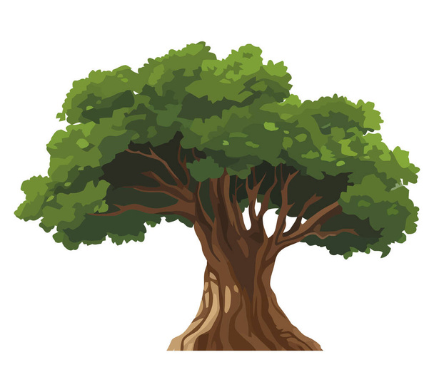Naturaleza gran vector de árbol sobre blanco - Vector, Imagen