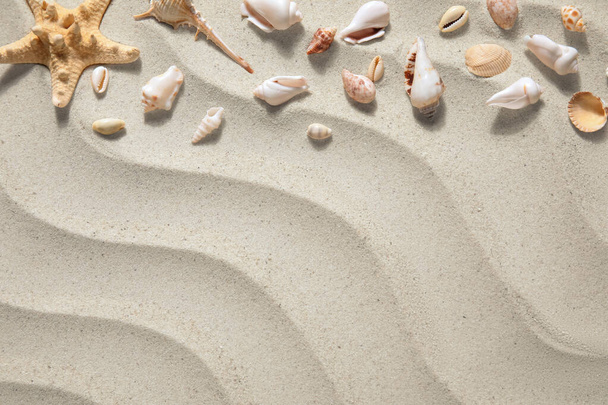 Meritähti ja simpukat hiekalla
 - Valokuva, kuva